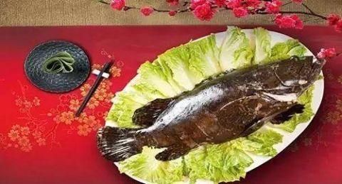 龍魚永得水是什么意思（“龍魚永得水”是什么意思？）
