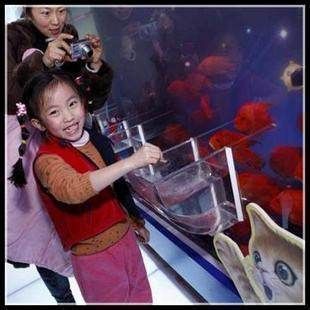 負壓魚缸怎么喂食，如何自制負壓魚缸投食器