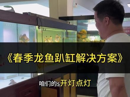 紅龍魚趴缸怎么回事兒 紅龍魚趴缸怎么回事兒 龍魚百科 第4張