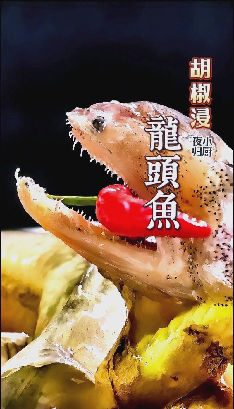 龍魚浮頭魚頭最簡(jiǎn)單四種做法