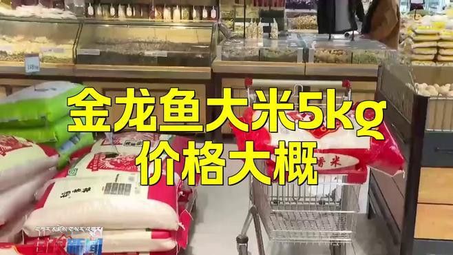 金龍魚湖畔農家香米五公斤多少錢