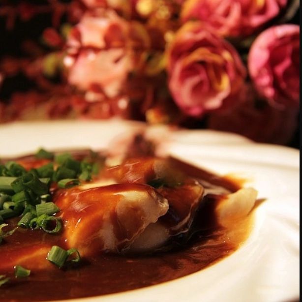 龍利魚(yú)官方