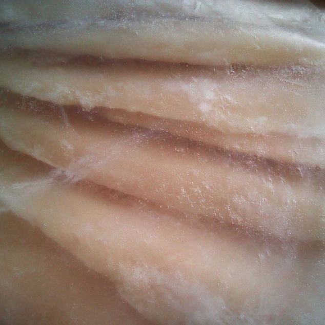 龍利魚(yú)官方