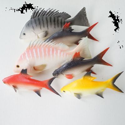 龍魚混養(yǎng)的龜有哪些：幾種適合與龍魚混養(yǎng)的龜類