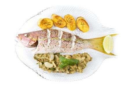 龍魚混養的龜有哪些：幾種適合與龍魚混養的龜類