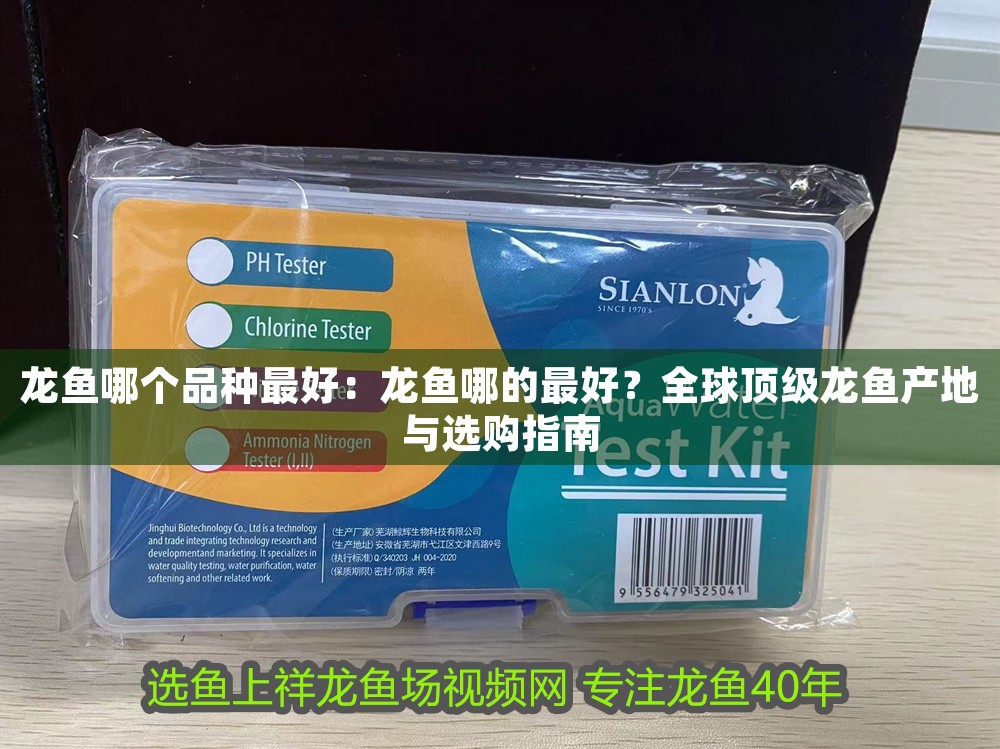 龍魚哪個品種最好：龍魚哪的最好？全球頂級龍魚產(chǎn)地與選購指南