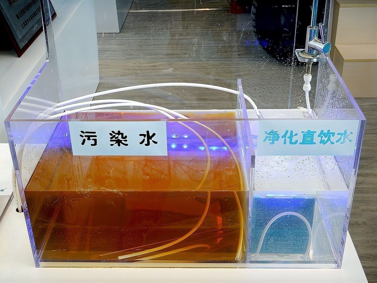 銀龍魚為什么會撞缸
