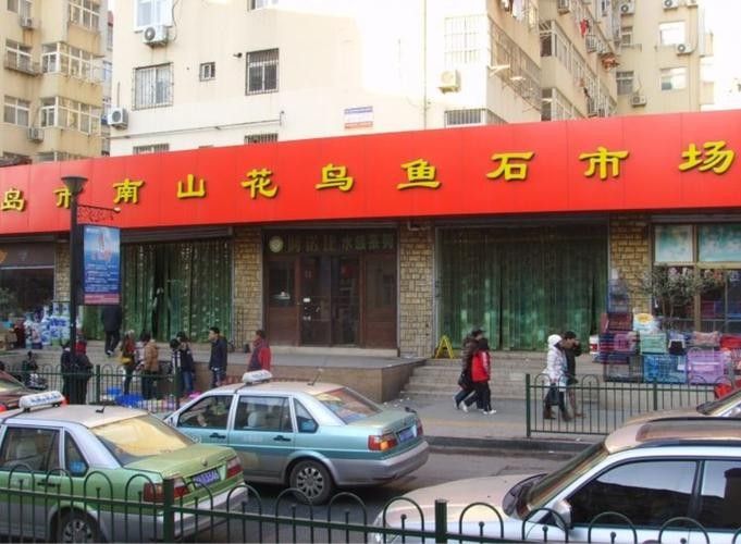 青島龍魚在哪賣的多啊