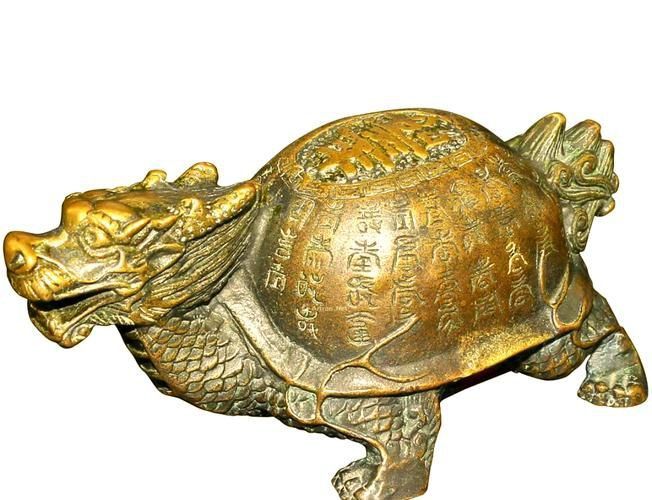 龍龜圖片大全大圖 龍龜圖片大全大圖 龍魚百科 第3張