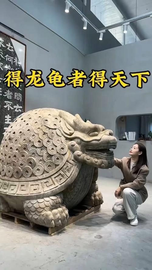 龍龜圖片大全大圖 龍龜圖片大全大圖 龍魚百科 第12張
