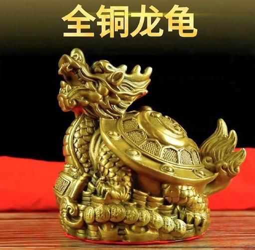 龍龜圖片大全大圖 龍龜圖片大全大圖 龍魚百科 第11張