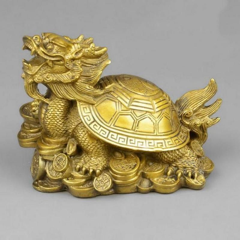 龍龜圖片大全大圖 龍龜圖片大全大圖 龍魚百科 第18張