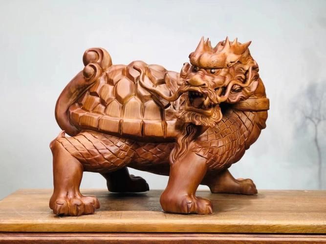 龍龜圖片大全大圖 龍龜圖片大全大圖 龍魚百科 第24張