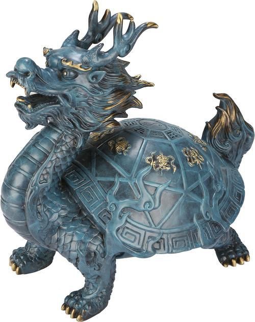 龍龜圖片大全大圖 龍龜圖片大全大圖 龍魚百科 第20張