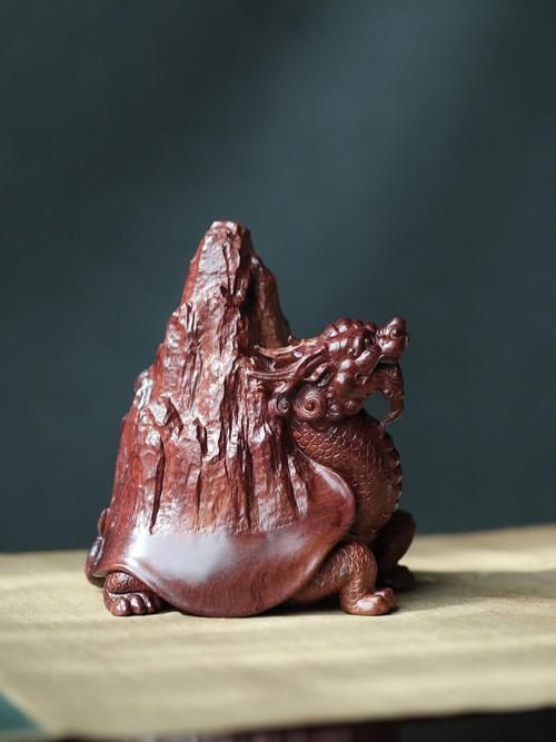 龍龜圖片大全大圖 龍龜圖片大全大圖 龍魚百科 第25張