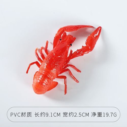 如何選擇拍攝小龍蝦的背景道具？