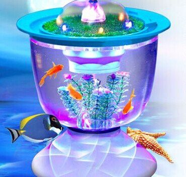水族館加盟找祥龍魚場多少錢一個月 水族館加盟找祥龍魚場多少錢一個月 龍魚百科 第6張