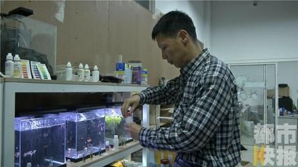 西安魚缸定做祥龍魚場代理店地址在哪里（西安觀賞魚市場在哪里）