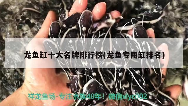 龍魚專用缸：關于龍魚專用缸的選擇