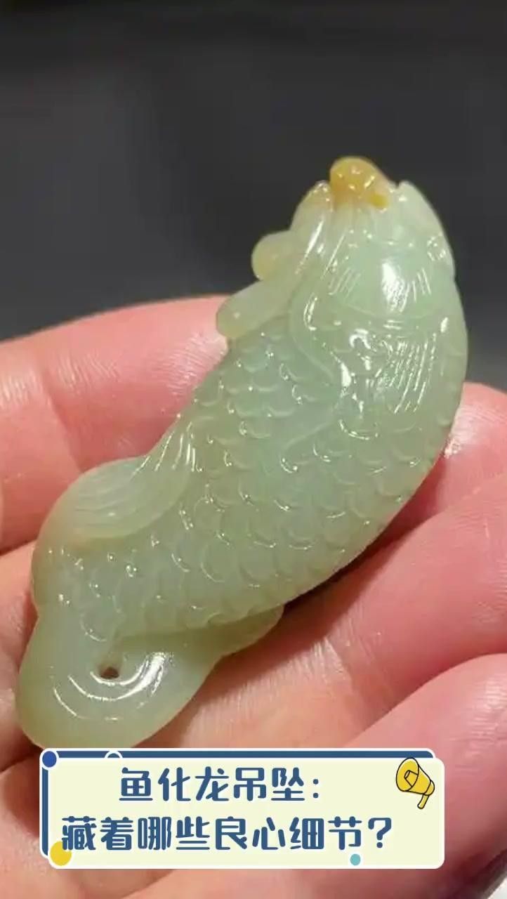 龍頭魚飾品有哪些款式和材質？