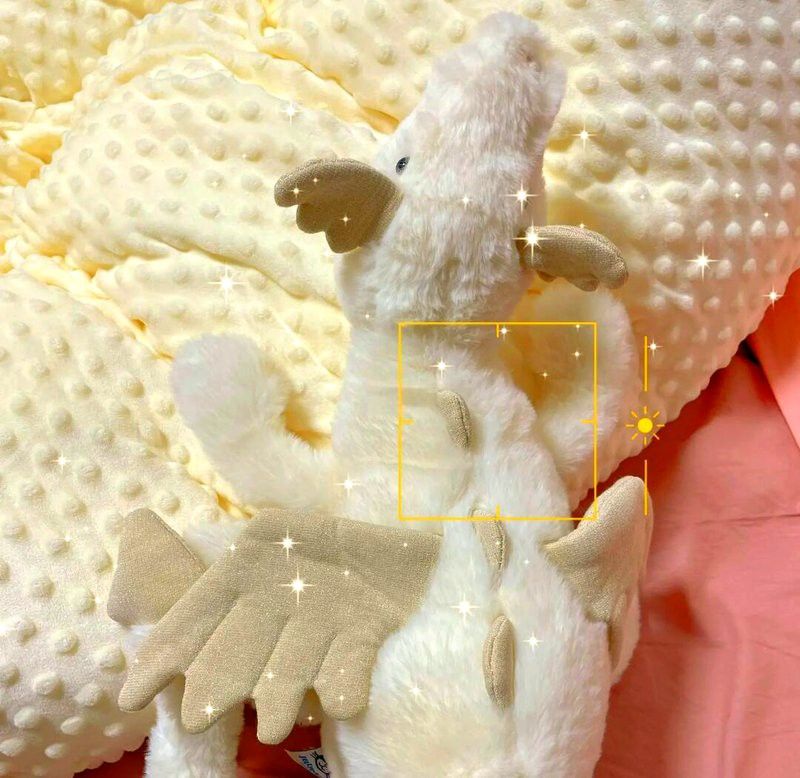 如何區分不同品種的七彩銀龍魚？