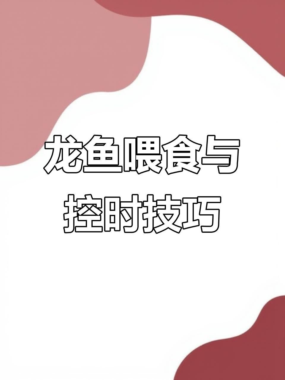 龍魚換缸后多久喂食？