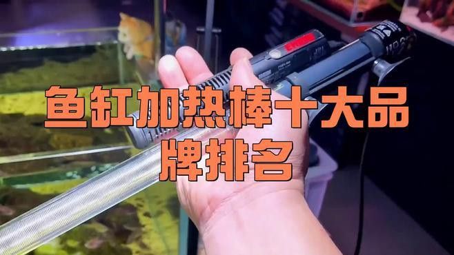 哪種品牌的加熱棒適合養龍魚？