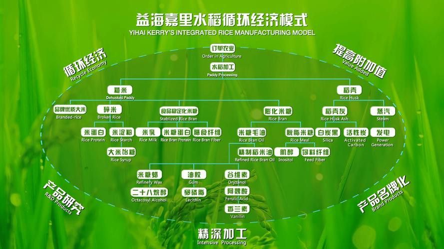 金龍魚品牌有哪些認證？