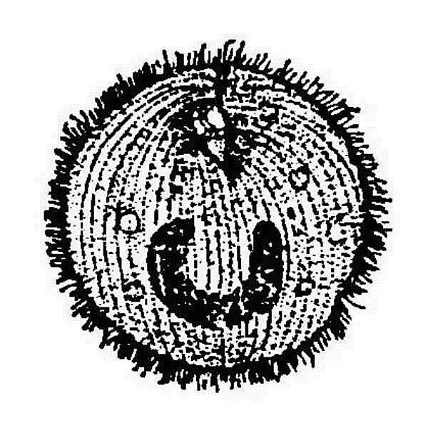 金龍魚眼睛上有白點是什么病癥