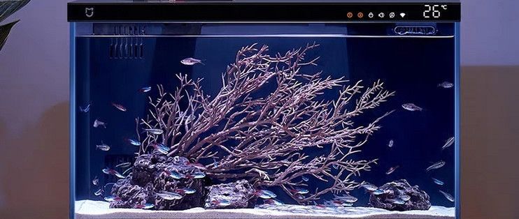 魚缸怎么挑選好壞呢（如何選擇適合水草缸的過濾系統？）