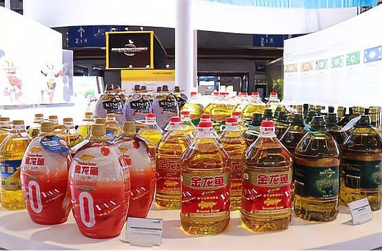 金龍魚如何應(yīng)對(duì)信任危機(jī)？ 金龍魚如何應(yīng)對(duì)信任危機(jī)？ 龍魚百科 第7張