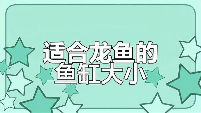 龍魚缸的最佳尺寸風水