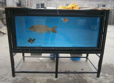 龍魚新缸開缸方法：養(yǎng)龍魚前必須準(zhǔn)備一個已經(jīng)養(yǎng)好水的魚缸，水質(zhì)好壞對龍魚的生活至關(guān)重要