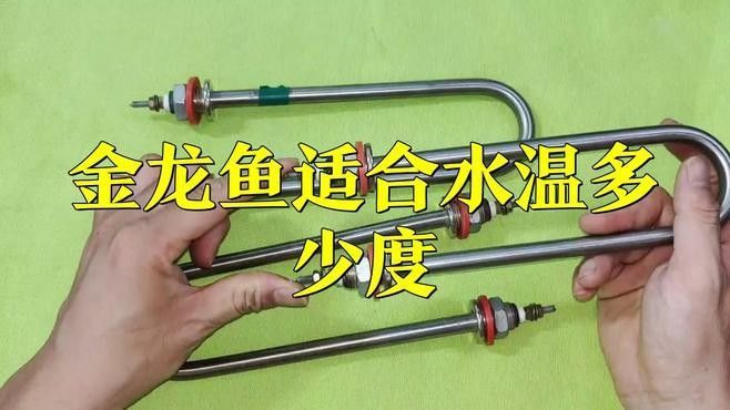 龍魚多少溫度合適釣