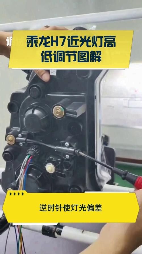 金龍魚白天趴缸了晚上游動