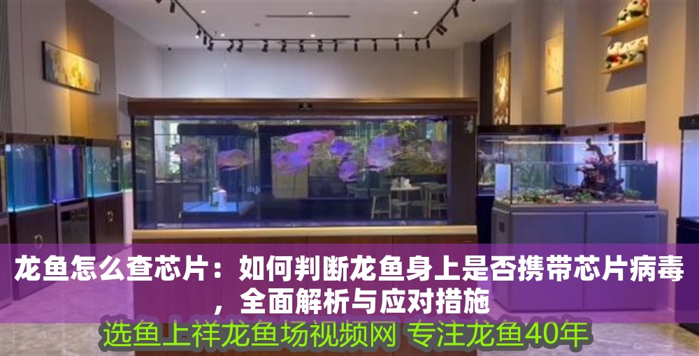 龍魚怎么查芯片：如何判斷龍魚身上是否攜帶芯片病毒，全面解析與應(yīng)對措施