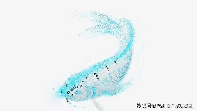 龍魚翻腮是怎么引起的：關(guān)于龍魚翻腮的問題