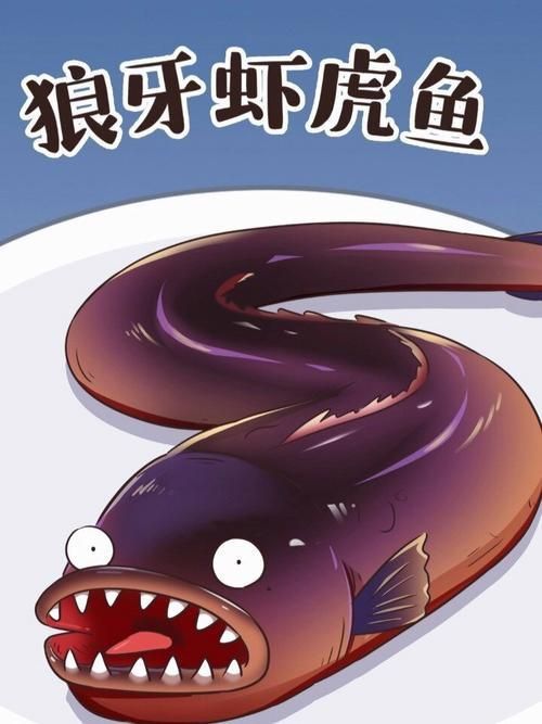 狼牙蝦虎魚(yú)的圖片