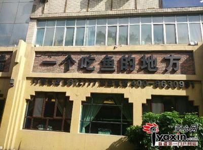 烏魯木齊龍魚哪里買（在烏魯木齊購買龍魚）