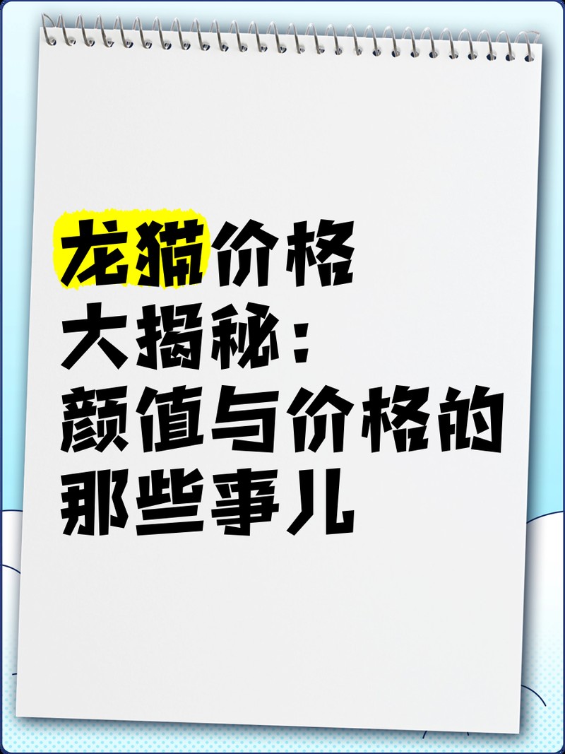龍貓的平均價(jià)格是多少？