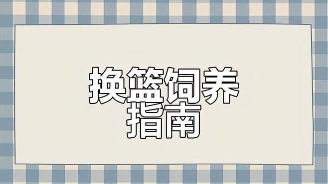 藍寶石龍魚價錢多少一條