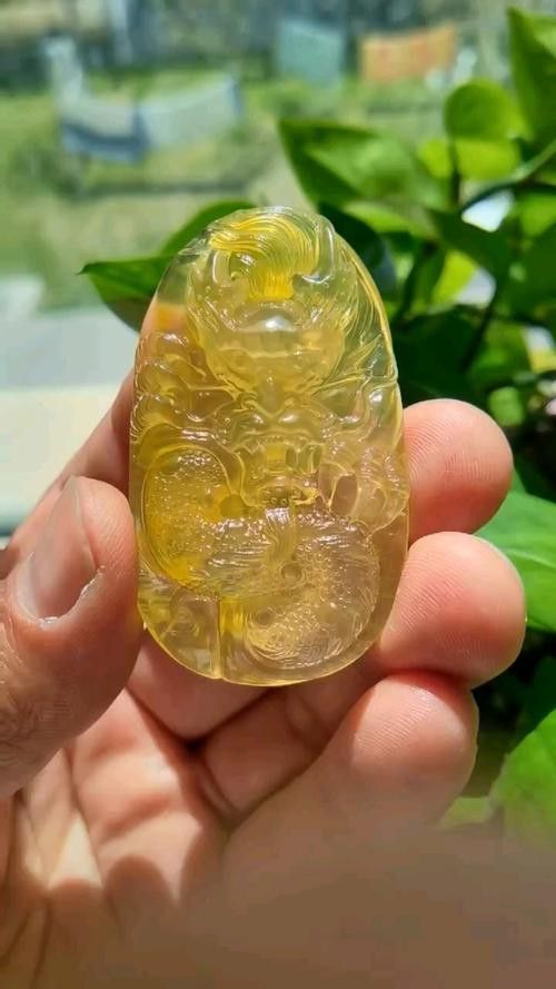 如何判斷過背金龍魚的等級(jí)？