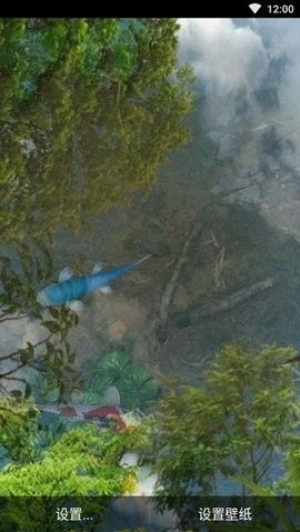 魚池動態壁紙有哪些特色功能？
