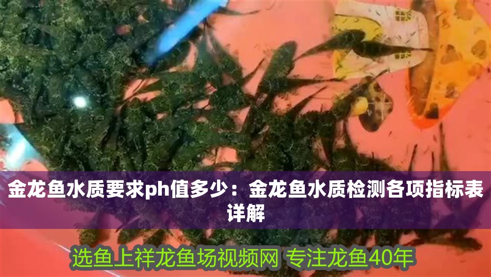 金龍魚水質要求ph值多少：金龍魚水質檢測各項指標表詳解