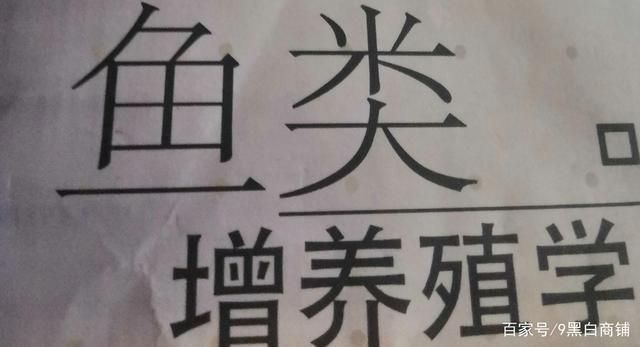 水族箱照明對魚類的影響：水族箱照明對藻類生長的影響