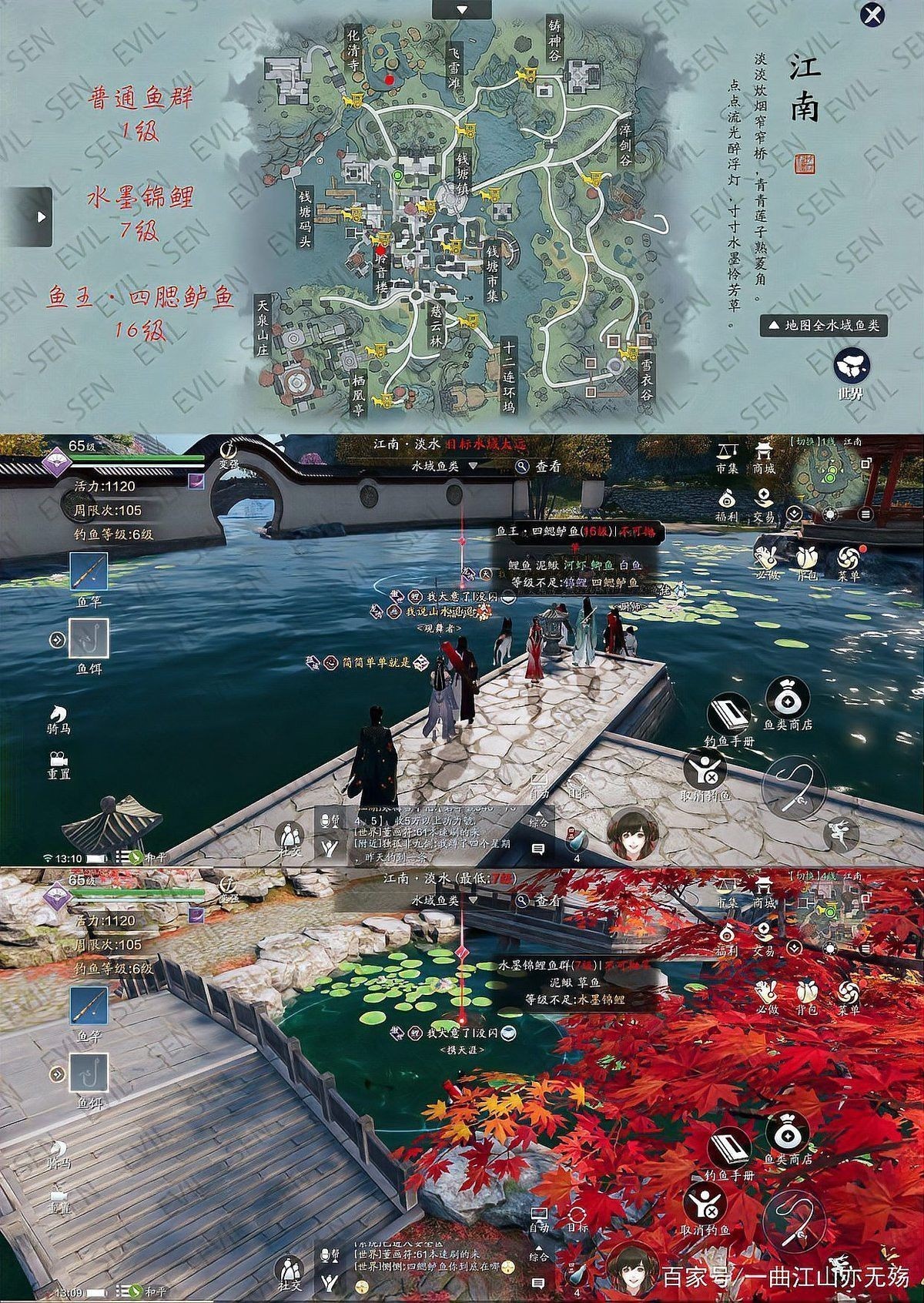 天刀金龍魚在哪釣