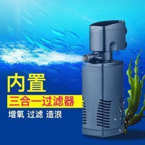 金龍魚水溫多少度最好（金龍魚冬季養護技巧，金龍魚水溫波動影響，金龍魚夏季降溫方法）