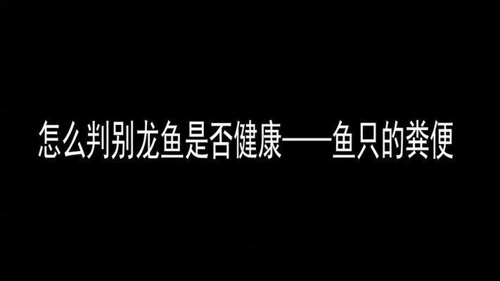 如何鑒別龍魚健康狀況：如何判斷龍魚的健康狀況