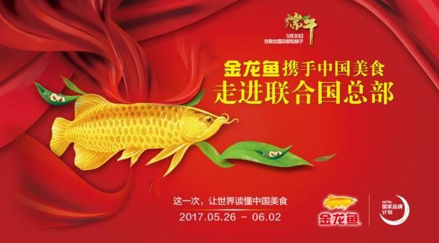2024品牌故事金龍魚（金龍魚品牌故事|品牌由來）