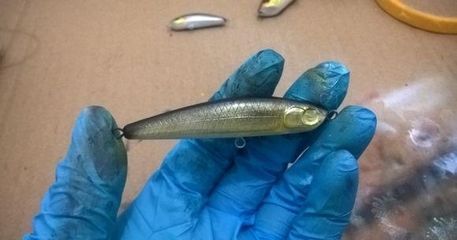 橙色金龍魚（橙色金龍魚和金龍魚的區(qū)別360問答金龍魚跟銀龍魚有什么區(qū)別）